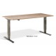 Forge Dual Motor Height Adjustable Desk